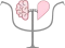 Gefyranoupsyxis